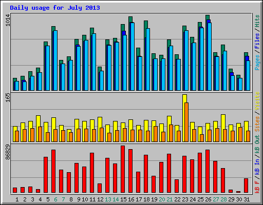 Daily usage for July 2013