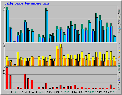 Daily usage for August 2013