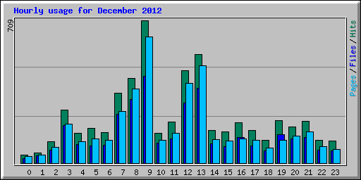 Hourly usage for December 2012