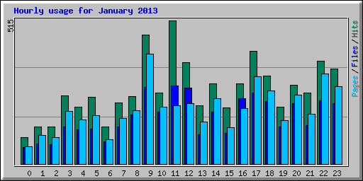 Hourly usage for January 2013