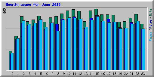 Hourly usage for June 2013