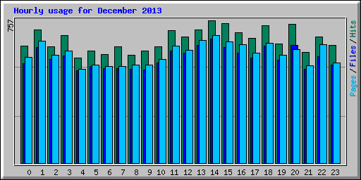 Hourly usage for December 2013