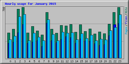 Hourly usage for January 2015