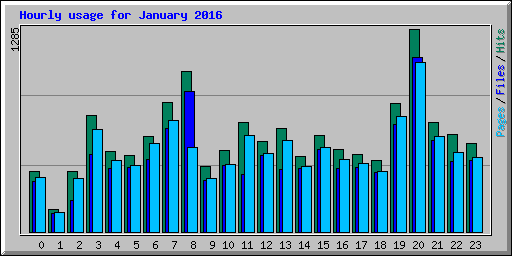 Hourly usage for January 2016